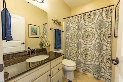 10 Alister Drive, Greenville, SC 29607 - Photo 22