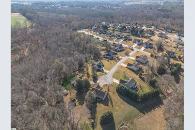 10 Chasie Lane, Greer, SC 29651 - Photo 42