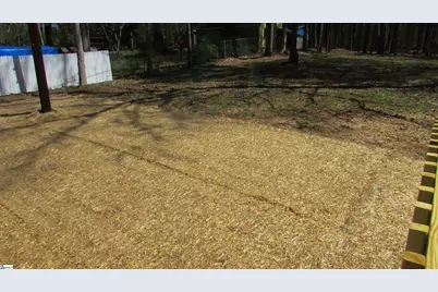 3236 Burnt Mill Creek Road, Laurens, SC 29360 - Photo 20