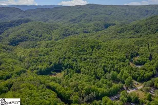 814 Moorefield Memorial Hwy, Sunset, SC 29685 - Photo 36