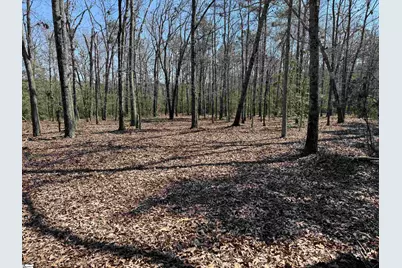 00 Golden Hickory Drive, Anderson, SC 29621 - Photo 18