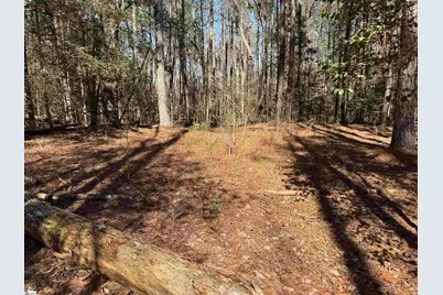 00 Golden Hickory Drive, Anderson, SC 29621 - Photo 6