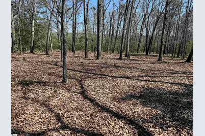 00 Golden Hickory Drive, Anderson, SC 29621 - Photo 10