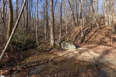 00 Panther Park Trail, Travelers Rest, SC 29690 - Photo 22