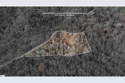00 Panther Park Trail, Travelers Rest, SC 29690 - Photo 4
