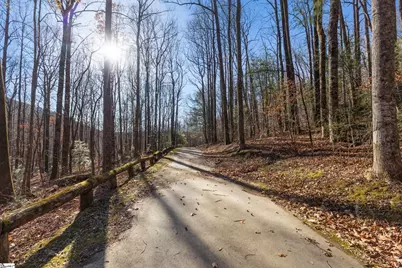 00 Panther Park Trail, Travelers Rest, SC 29690 - Photo 10