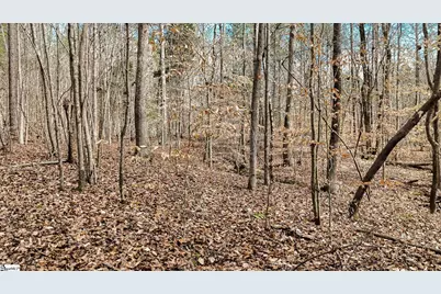 00 Lake Road, Clinton, SC 29325 - Photo 16