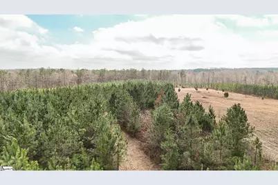 00 Lake Road, Clinton, SC 29325 - Photo 22