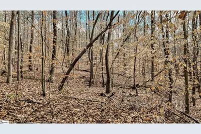 00 Lake Road, Clinton, SC 29325 - Photo 18