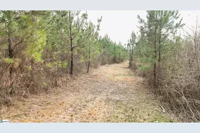 00 Lake Road, Clinton, SC 29325 - Photo 4