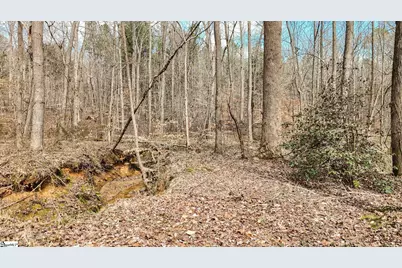 00 Lake Road, Clinton, SC 29325 - Photo 14