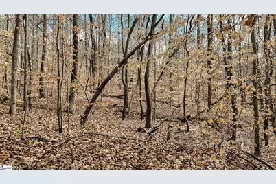 588 Lake Road, Clinton, SC 29325 - Photo 12