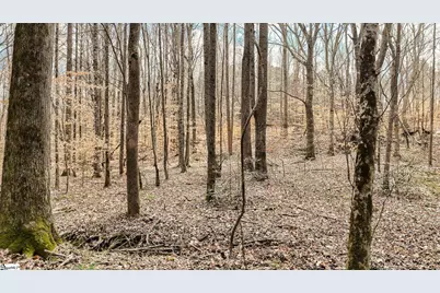 588 Lake Road, Clinton, SC 29325 - Photo 16