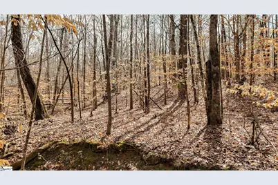 650 Lake Road, Clinton, SC 29325 - Photo 10