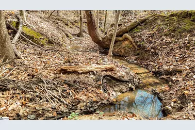 650 Lake Road, Clinton, SC 29325 - Photo 8