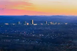 30 Dolce Vita Ct, Greenville, SC 29609 - Photo 30