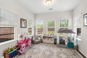 15 Tyrian Dr, Greenville, SC 29607 - Photo 12