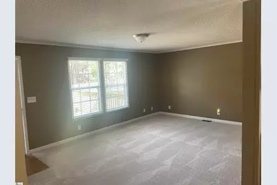 879 Black Snake Road, Easley, SC 29640 - Photo 4