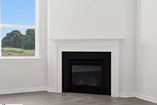 1120 Bywell Dr, Woodruff, SC 29388 - Photo 16