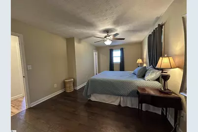 111 Cox Street, Travelers Rest, SC 29690 - Photo 12