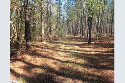 [Address not provided], Gray Court, SC 29645 - Photo 16