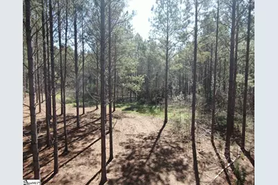 [Address not provided], Gray Court, SC 29645 - Photo 22