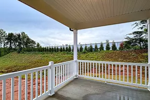1024 Horse Whisper Run, Landrum, SC 29356 - Photo 4