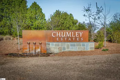 417 Jack Hunter Place, Woodruff, SC 29388 - Photo 46