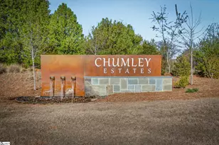 417 Jack Hunter Pl, Woodruff, SC 29388 - Photo 46