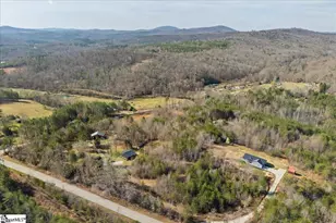 4519 Dacusville Hwy, Marietta, SC 29661 - Photo 42