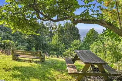 3605 Skyuka Mountain Road, Columbus, NC 28722 - Photo 28