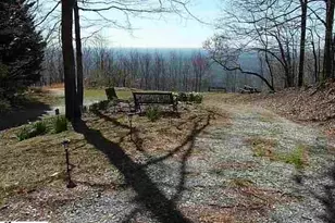 3605 Skyuka Mountain Rd, Columbus, NC 28722 - Photo 48