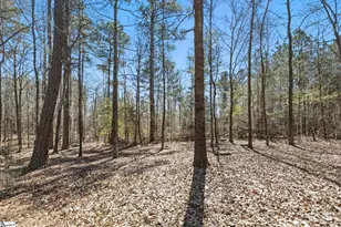 191 Pheasant Way, Fountain Inn, SC 29644 - Photo 42