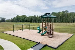 255 Irish Vine Walk, Woodruff, SC 29388 - Photo 4