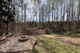 114 Mt Vernon Cir, Greer, SC 29651 - Photo 38