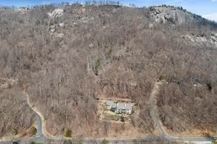 1 Stonesthrow Dr, Landrum, SC 29356 - Photo 40