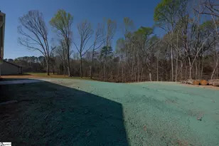 9892 Hwy 252, Ware Shoals, SC 29662 - Photo 26