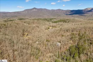 512 Doe Run, Pickens, SC 29671 - Photo 32