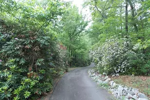 512 Doe Run, Pickens, SC 29671 - Photo 38