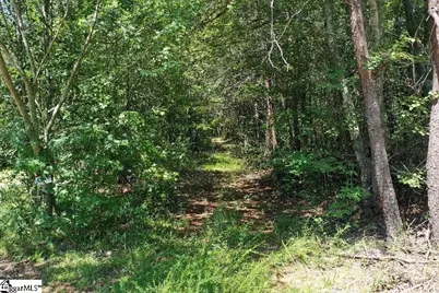 883 Goodwin Bridge Road, Travelers Rest, SC 29690 - Photo 18