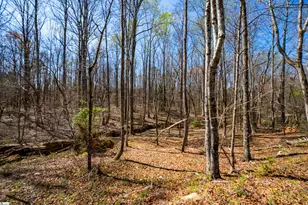 171 Hickory Rd, Williamston, SC 29697 - Photo 40