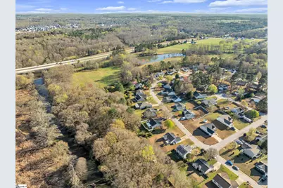 44 Reedy River Way, Greenville, SC 29605 - Photo 32