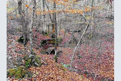 829 Bramlett Road, Laurens, SC 29360 - Photo 12