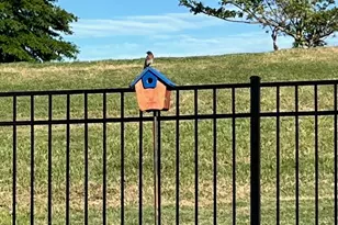 714 Torridon Ln, Simpsonville, SC 29681 - Photo 46