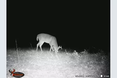 790 Highway 418, Simpsonville, SC 29680 - Photo 32