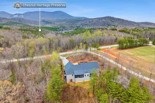 1175 Hwy 11, Landrum, SC 29356 - Photo 6