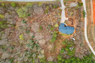 1175 Hwy 11, Landrum, SC 29356 - Photo 46