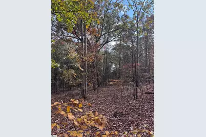 13250 W 76 Highway, Gray Court, SC 29645 - Photo 8