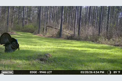 00 Highway 28, Abbeville, SC 29620 - Photo 20