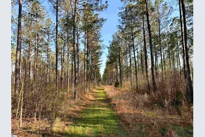 00 Highway 28, Abbeville, SC 29620 - Photo 16
